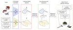 Escaping Plato's Cave: Towards the Alignment of 3D and Text Latent Spaces